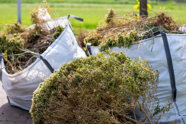 Best Local Junk Hauling  in Rancho San Diego, CA